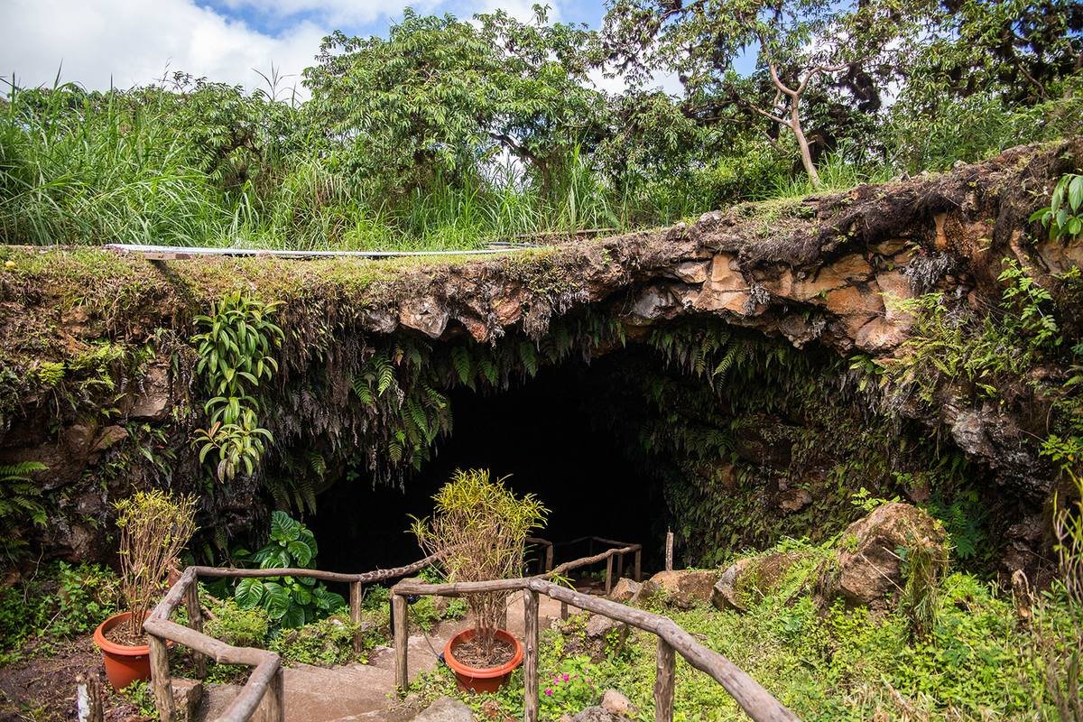 Natural entrance to the lava tunnel
